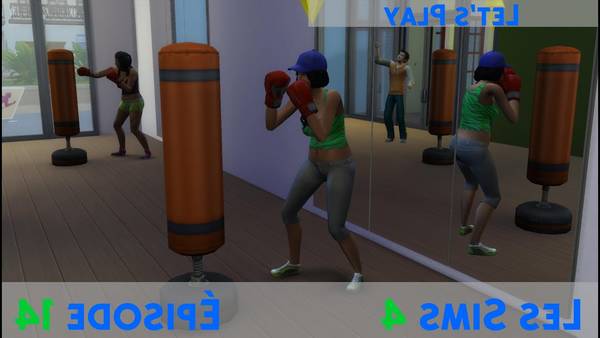 Les Programmes Perdre du poids ou se muscler bio Les Programmes Perdre du poids ou se muscler bio