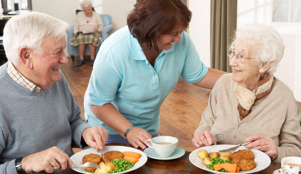 alimentation du senior alimentation du senior