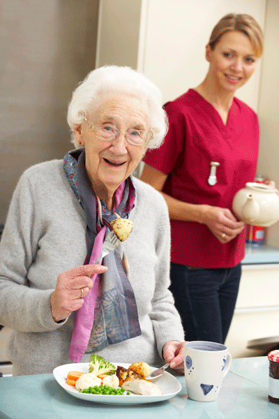 Découvrez Quiz alimentation senior ou alimentation pour senior Découvrez Quiz alimentation senior ou alimentation pour senior
