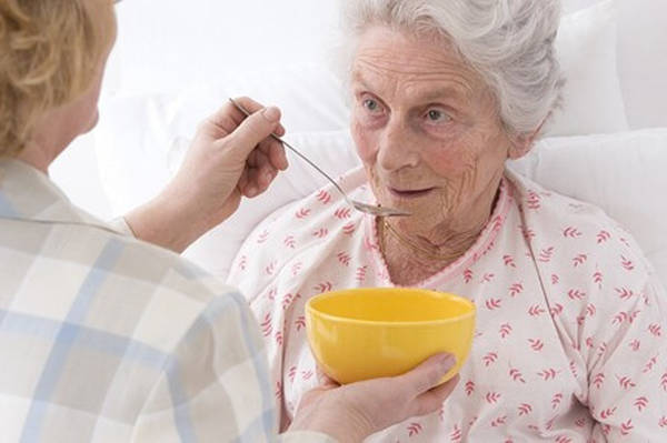 Conseil Quiz alimentation senior et guide alimentation senior Conseil Quiz alimentation senior et guide alimentation senior