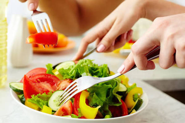 Comparatif Alimentation des seniors livre : alimentation pour seniors Comparatif Alimentation des seniors livre : alimentation pour seniors